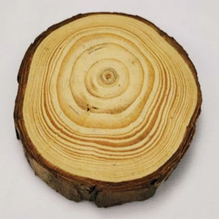 Base de Madeira para Decoração - Tamanho G (1 Unidade - 12 a 15cm)