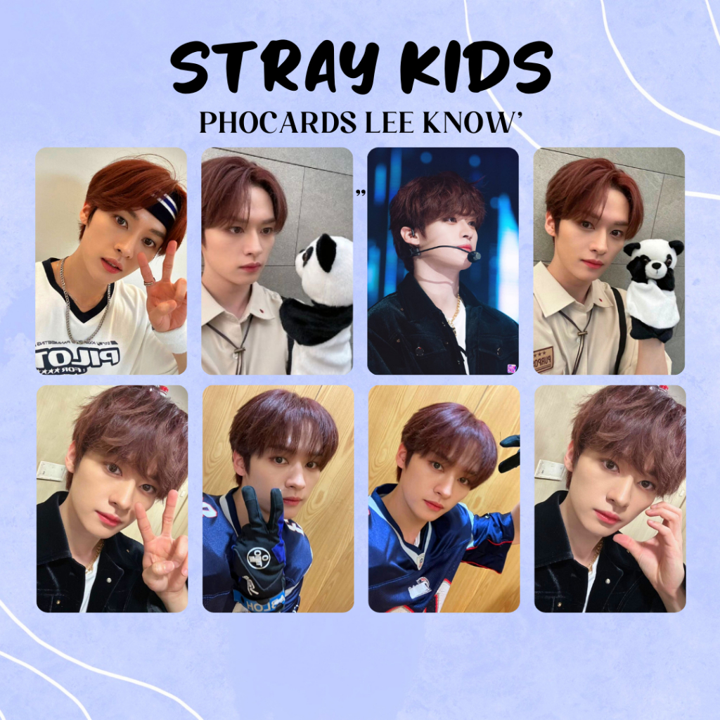 Photocards Lee Know Stray kids FANMADE | Shopee Brasil