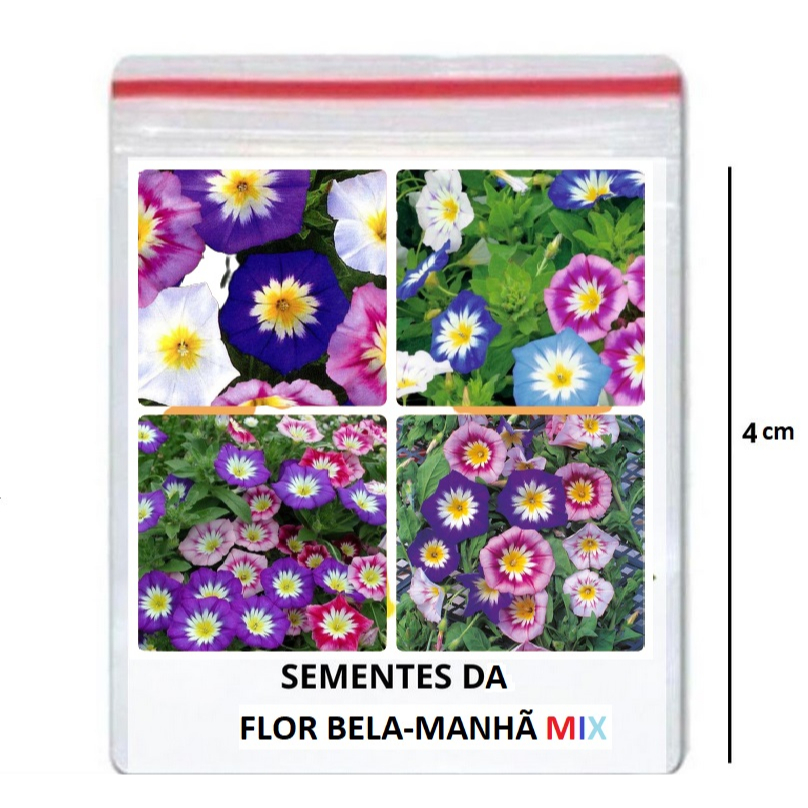 30 Sementes Variadas Da Flor Bela Manha Tricolor - Chuchas + manual de ...