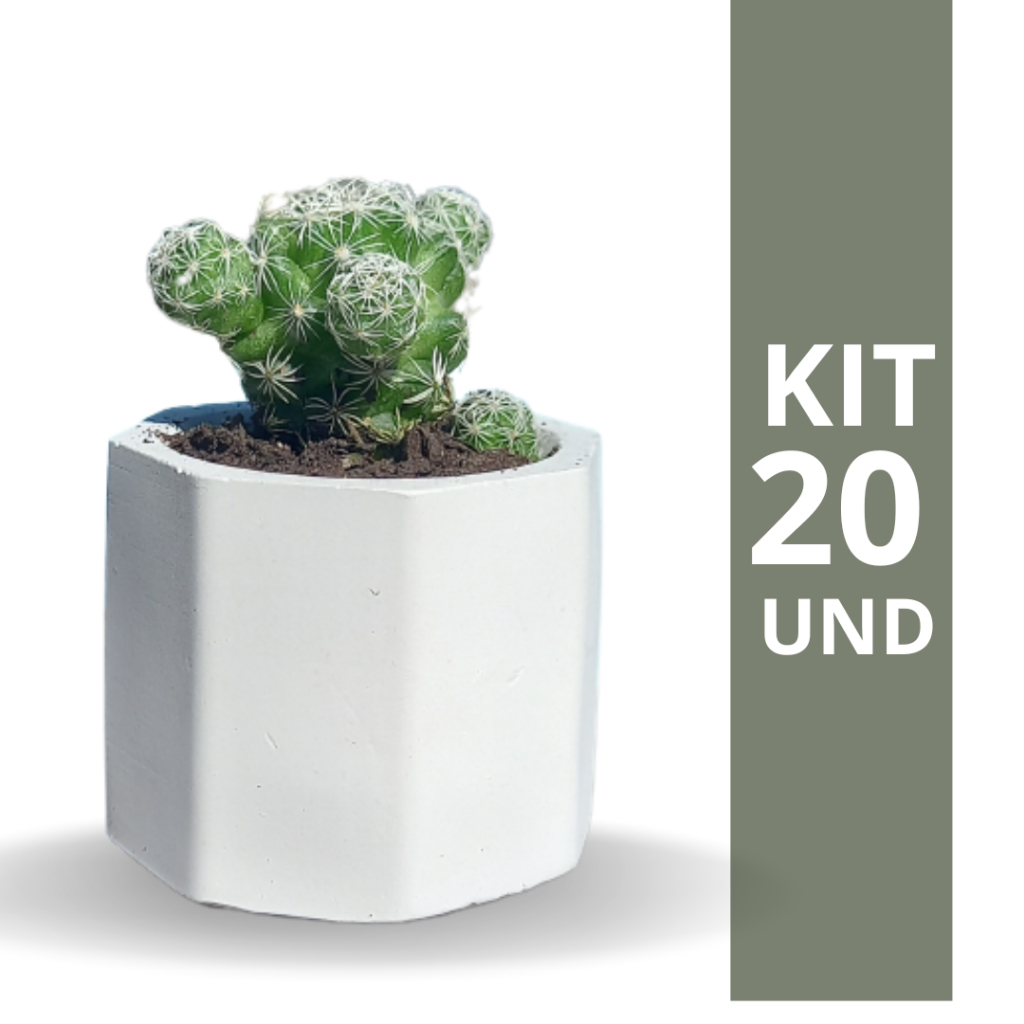 Kit 20 Vasos de Gesso Decorativo Mini Vaso Para Decoração Porta Velas - NÃO ACOMPANHA SUCULENTA