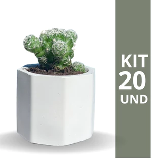 Kit 20 Vasos de Gesso Decorativo Mini Vaso Para Decoração Porta Velas - NÃO ACOMPANHA SUCULENTA
