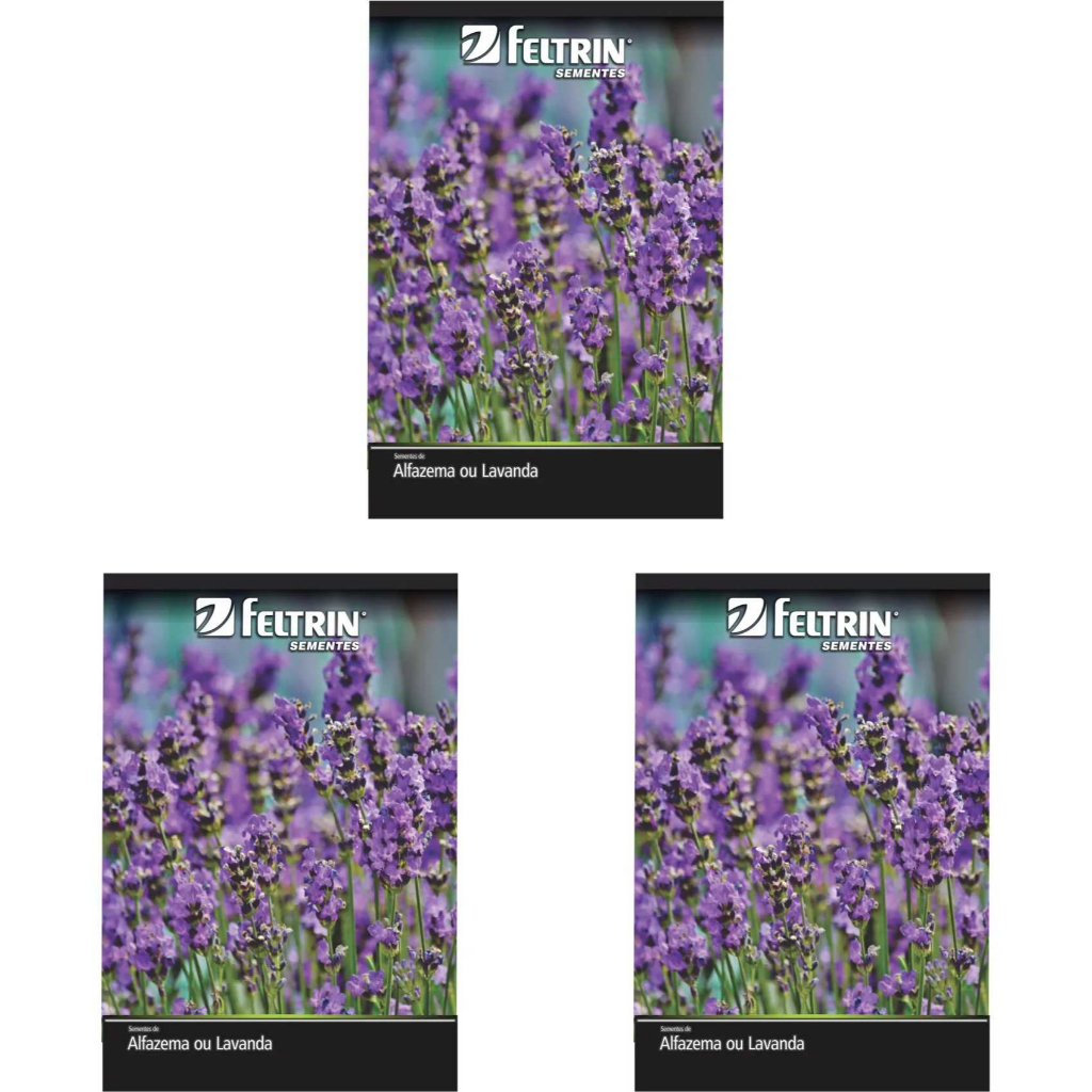 Kit 6 pacotes Sementes de Lavanda verdadeira Alfazema flores jardins vasos horta