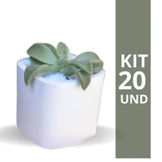 Kit 20 Vasos de Gesso Decorativo Mini Vaso Para Decoração Porta Velas - NÃO ACOMPANHA SUCULENTA