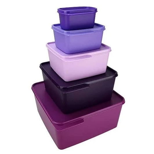 Tupperware Kit Basic Line Roxo 05 peças | Shopee Brasil