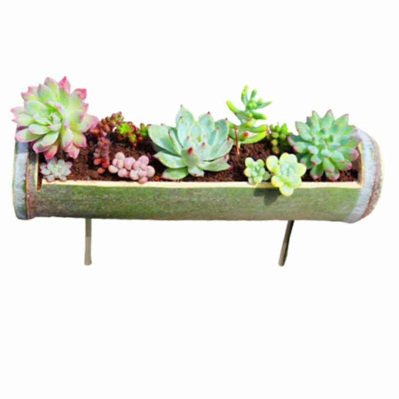 Vaso de bambu para suculentas e cactos vaso é adequado tanto para mesas quanto para o chão