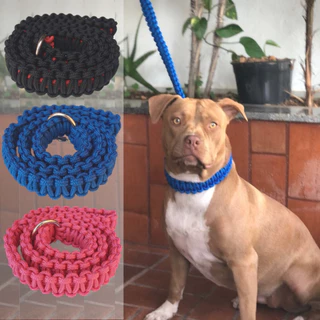 Guia Artesanal Pet para Cachorro Coleira Enforcador Pitbull Unificada Cães Médio Grande Trançada tripla Paracord Pitmonster Bully