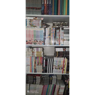 Promoção 10 mangas por 60