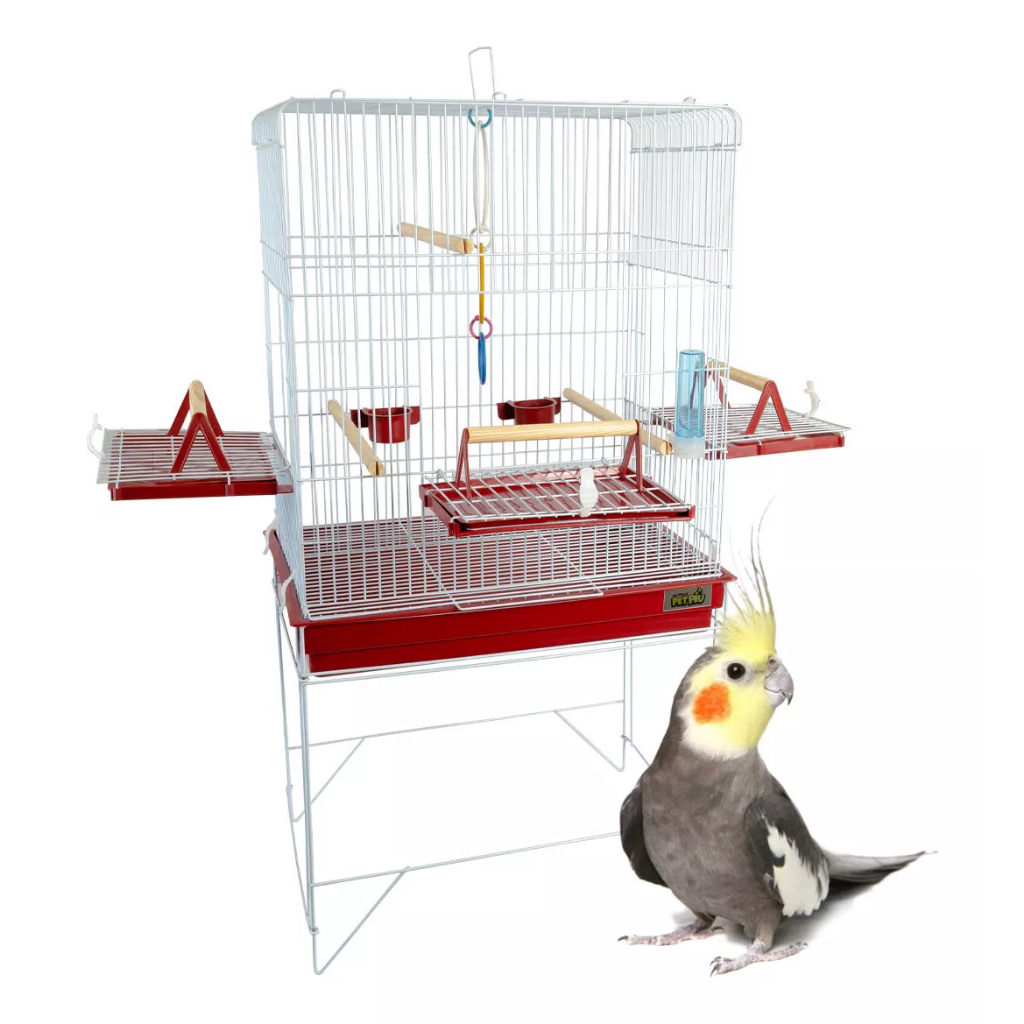 Gaiola Calopsita Aves grande viveiro