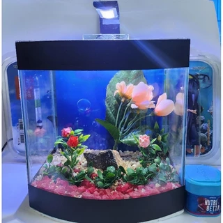 Beteira Curva Decorada + Luminária de Led 6 Leds +Termômetro +Aquecedor Comum 5w 110v+Ração Betta
