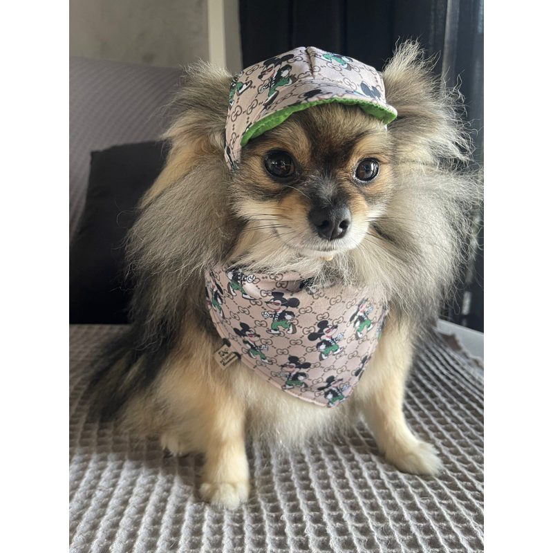 Gucci 2025 dog bandana