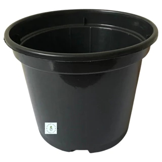 50 Vasos Plásticos Rígidos Pote 15 de 1 Litro Para Temperos Suculentas Rosa do Deserto Etc