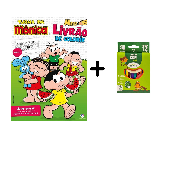 Kit Livrinhos para Colorir Lembrancinha de aniversário Livro Infantil Tik  Tok Maria Clara e JP Lucas Neto Luluca