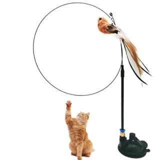 Brinquedo Varinha com Pássaro para Gato Interativo Com Ventosa Fixar Chão Vidro Porta com chocalhinho