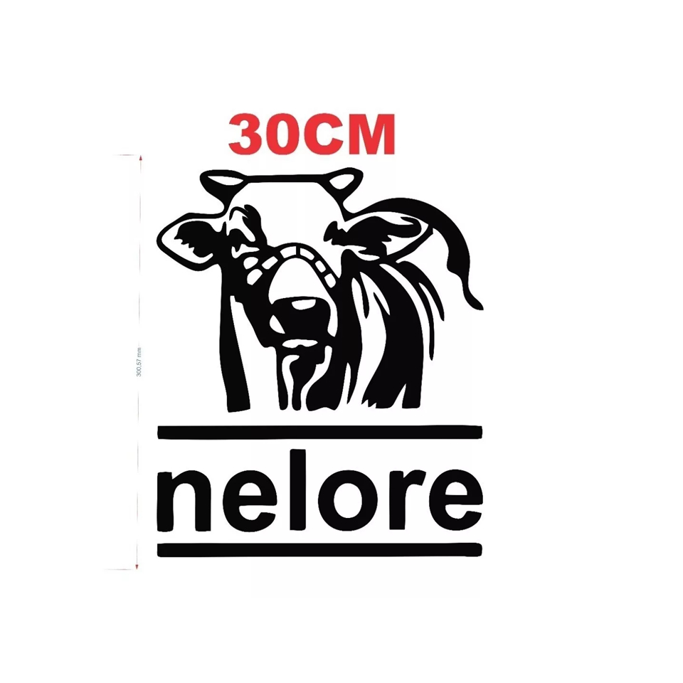 Adesivo Nelore 30cm | Shopee Brasil