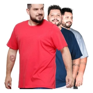kit 10 camisetas masculinas plus size G1 G2 G3 G4 com opções de escolha