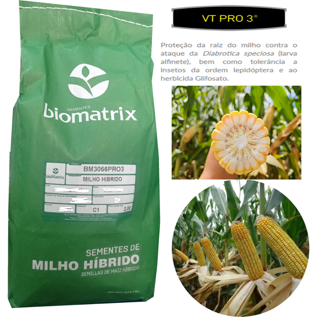 Semente De Milho Transgênico Biomatrix Bm 3066 Pro 3 - 2kg | Shopee Brasil
