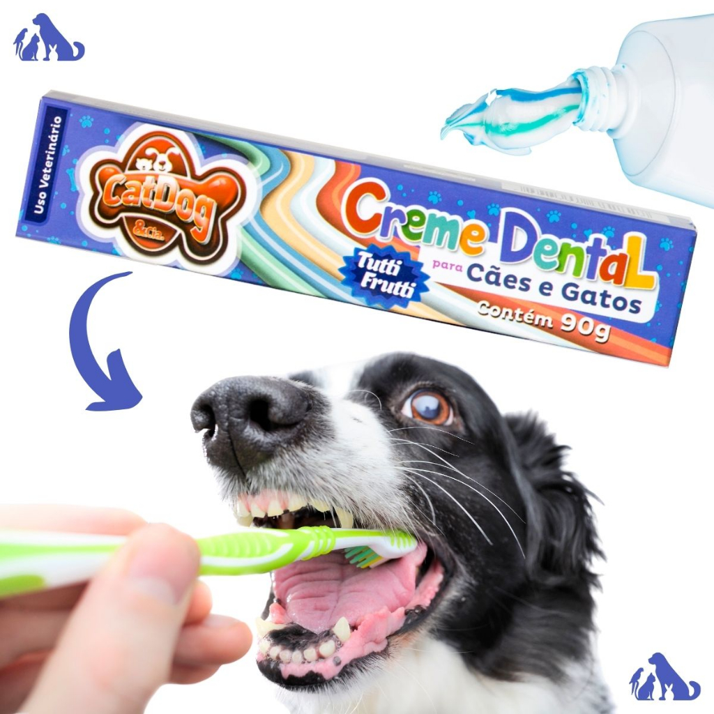 Acabou a Pasta de Dente e Agora: Onde Comprar | BuscaProdutos