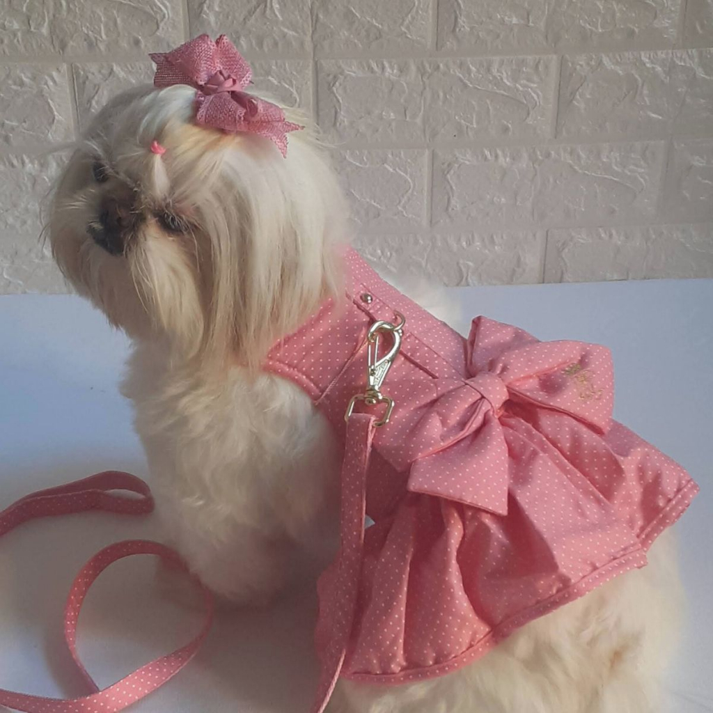Roupa Roupinha Pet Para Cachorro Vestido Barbie Com Guia