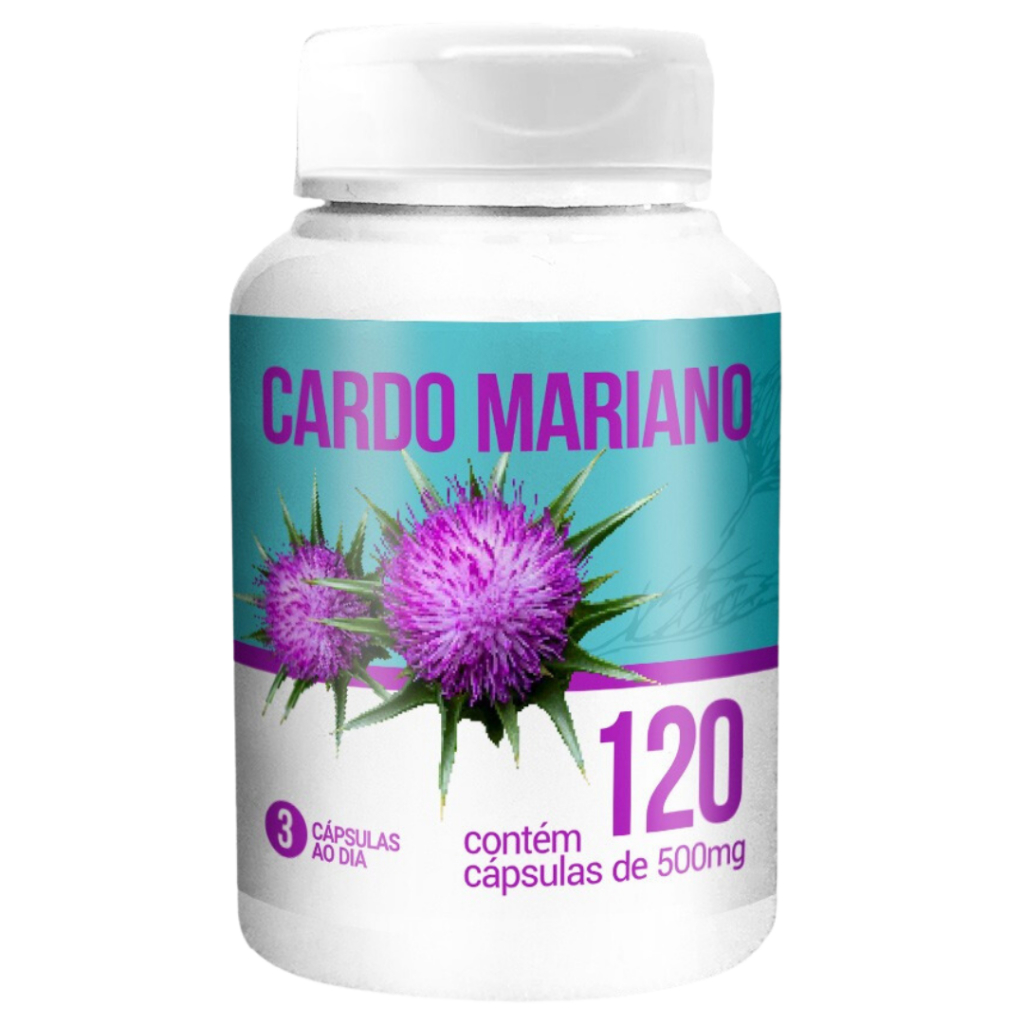 Cardo Mariano Antioxidante que pode ajudar a promover a regeneração das ...
