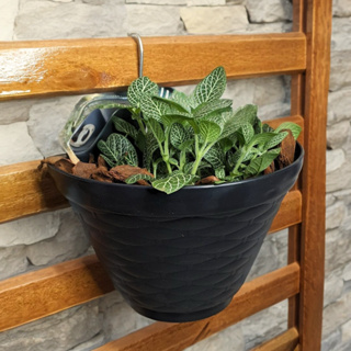 Vaso de Parede para Plantas 20cm de Plástico Preto Vertical