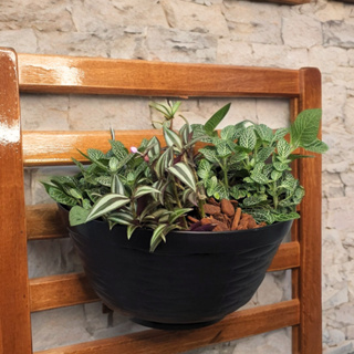 Vaso de Parede para Plantas 28cm de Plástico Preto Vertical