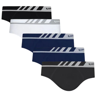 Kit 5 Cueca Lupo Boxer Masculina Poliamida Adulto Box Elastano Original Revenda 691