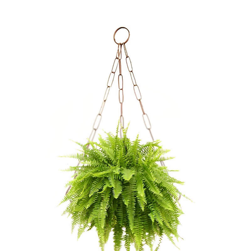 Suporte com correntes para Pendurar Samambaia , Plantas e Vasos não ...