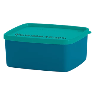 Jeitosinho Tupperware Cada Comidinha no Seu Lugar 400 ml