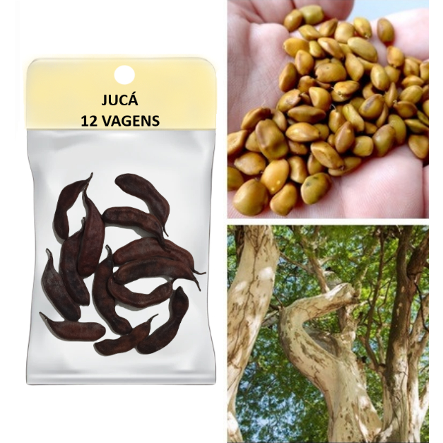 JUCÁ - 12 VAGENS PAU FERRO | Shopee Brasil