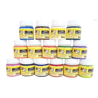 Tinta Acrilica Para Artesanato Kit 15 Cores 50 Ml