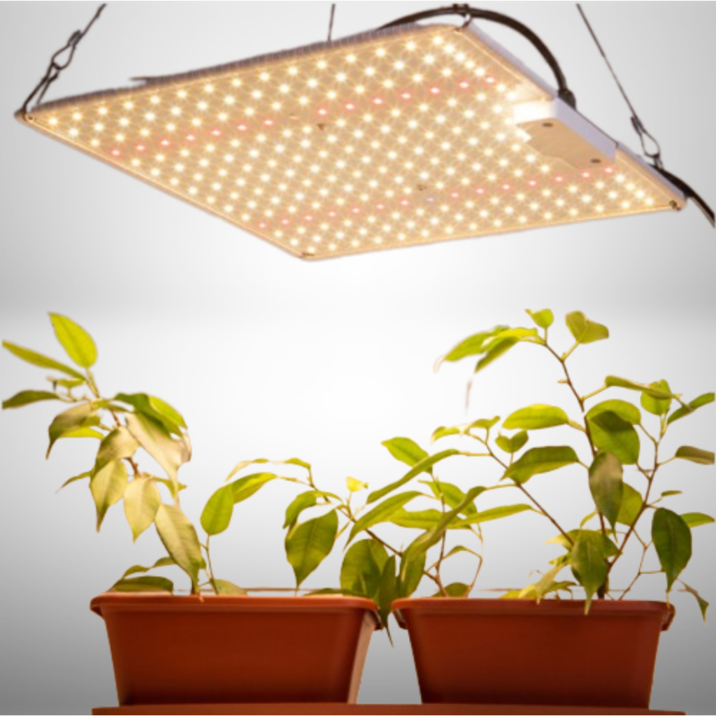 Quantum Board Samsung Led Lm281b+ Ir Uv Grow 30.000 Lumens | Shopee Brasil