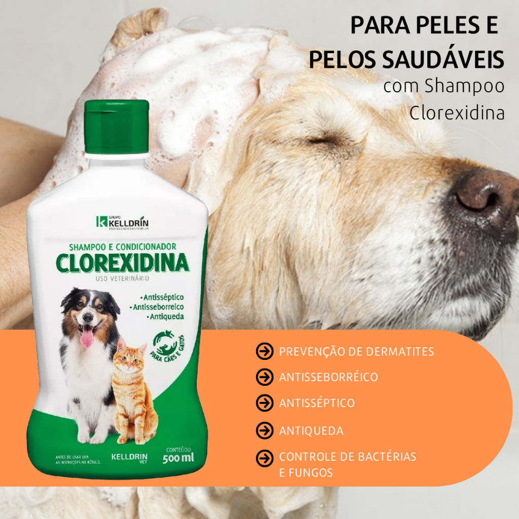 Shampoo 5 Em 1 Clorexidina Dermatites Antiqueda P/ Cachorro Tratar