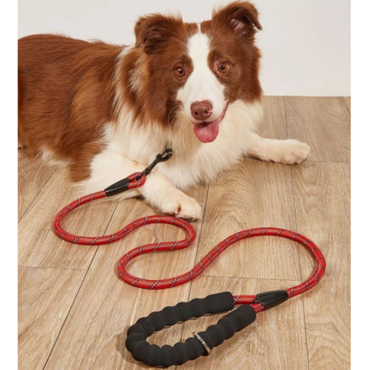 Guia De Passeio Corda Reforçada Para Cães Cachorro Grande Médio Porte Resistente