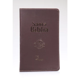 Santa Biblia | Reina Valera Tradicional | Letra Gigante | Luxo | Lisa Marrom