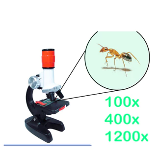 Microscópio Óptico - Aumento de 100x 400x e 1200x + Lâminas prontas