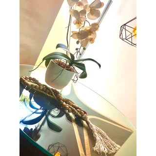 Colar de Mesa| Colar de Mesa Luxo | Decoração de Ambiente