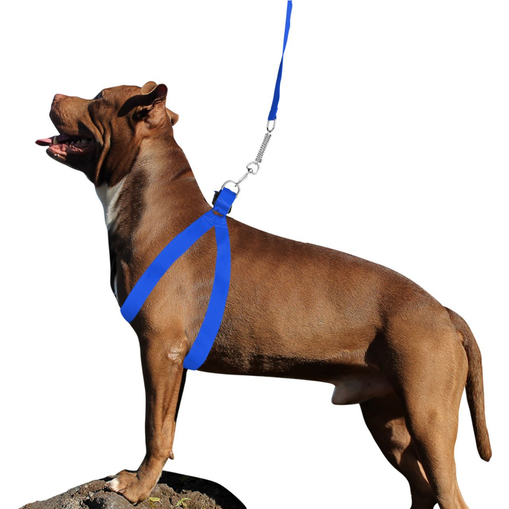 Coleira Peitoral Cachorro, Cão Grande Porte, Pitbull, Hotwiller, Labrador 4 Patas Nylon Reforçado.