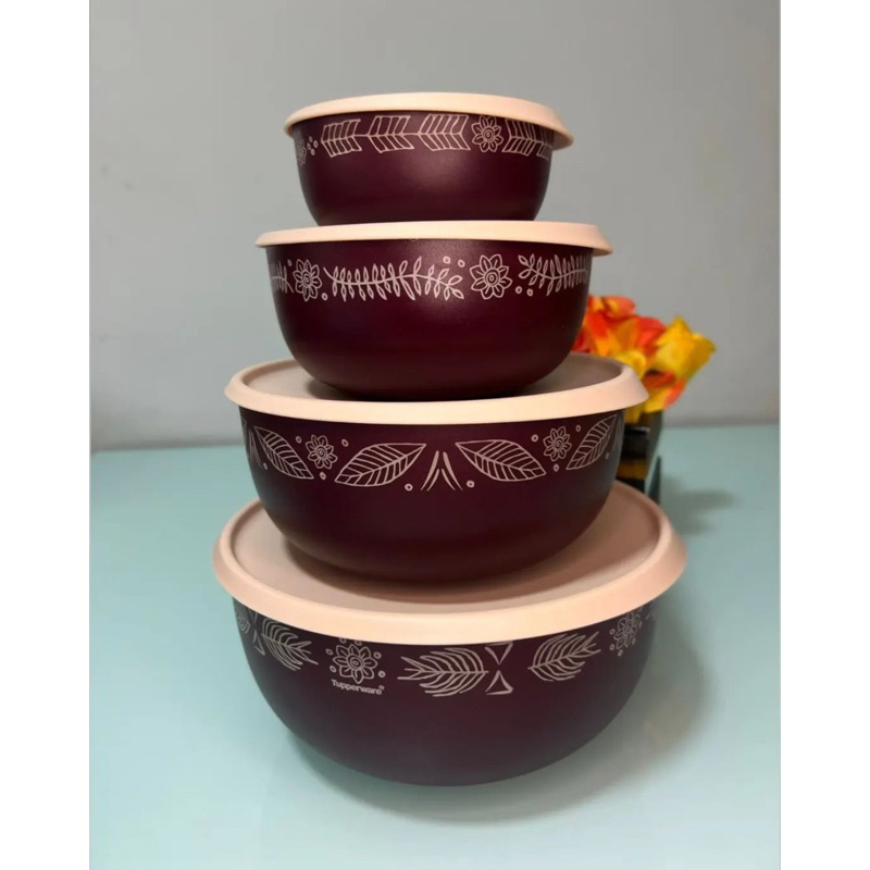 Kit TUPPERWARE | Shopee Brasil