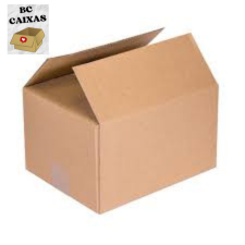25 CAIXAS DE PAPELÃO 25x25x25