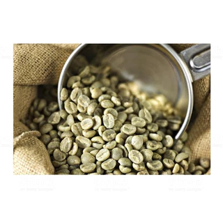 Café Em Grãos Crú 100% Arábica Para Torra Ideal Para Expresso Safra Nova Sul de Minas 1 Kg