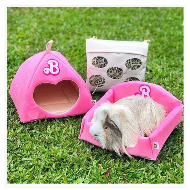 Guinea pig online barbie