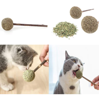 Pirulito Bola Catnip para Gato Cabo Madeira para Limpar Dente Erva Gato Natural Antiestresse Relaxa Brinquedo Divertido Interativo LR-0192