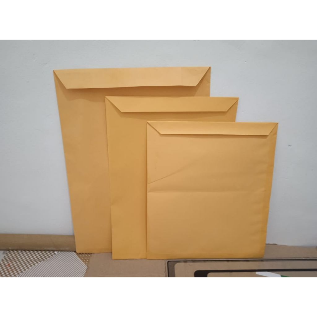 Envelope kraft Pardo - pacote com 10 | Shopee Brasil