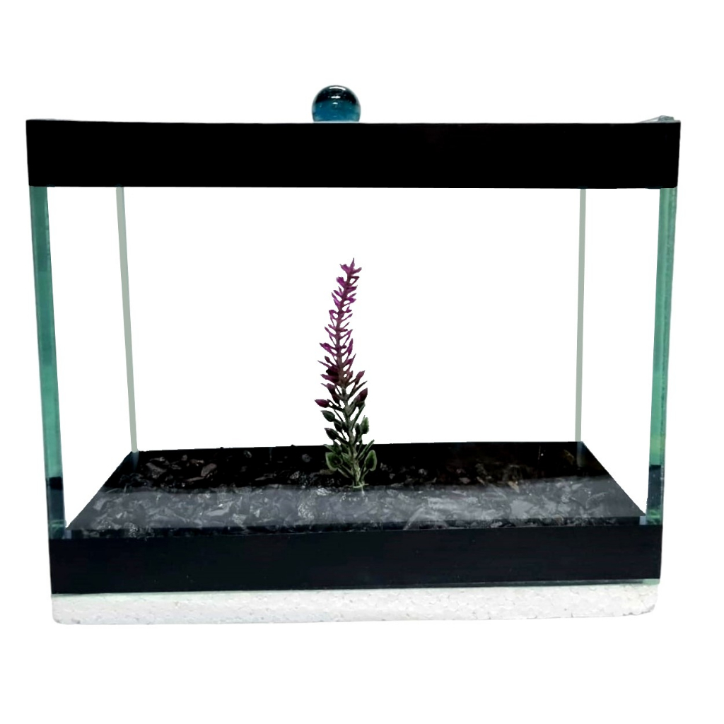 Aquario Beteira para peixes pequenos tipo Betta Retangular 20 cm