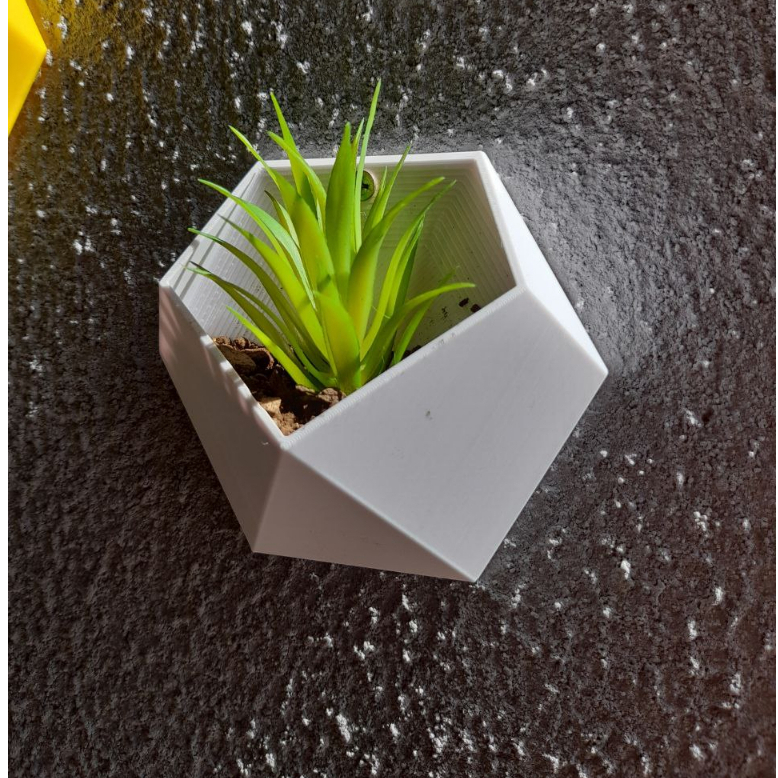 Vaso Meia Lua Geométrico Moderno/ Modelo Para Parede/ Para Jardim Vertical.