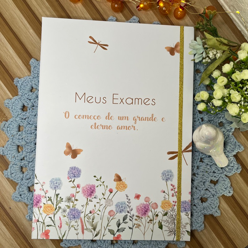 Pasta Catálogo Gestante Personalizada | Shopee Brasil