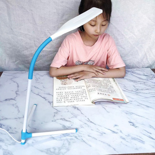 Luminária De Mesa Led Portátil Altura Regulável 5W 60CM de Comprimento