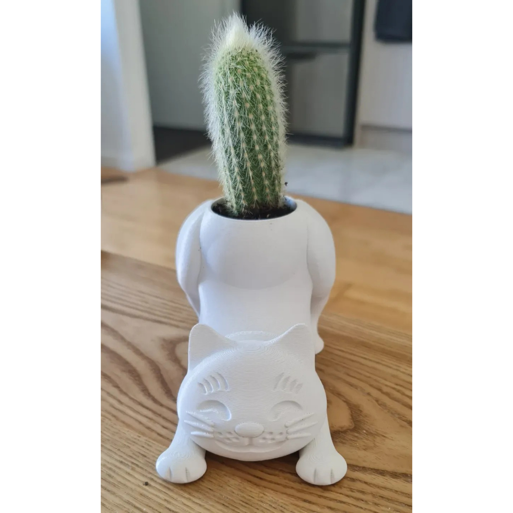 Vaso de Gatinho para Mini Cactos