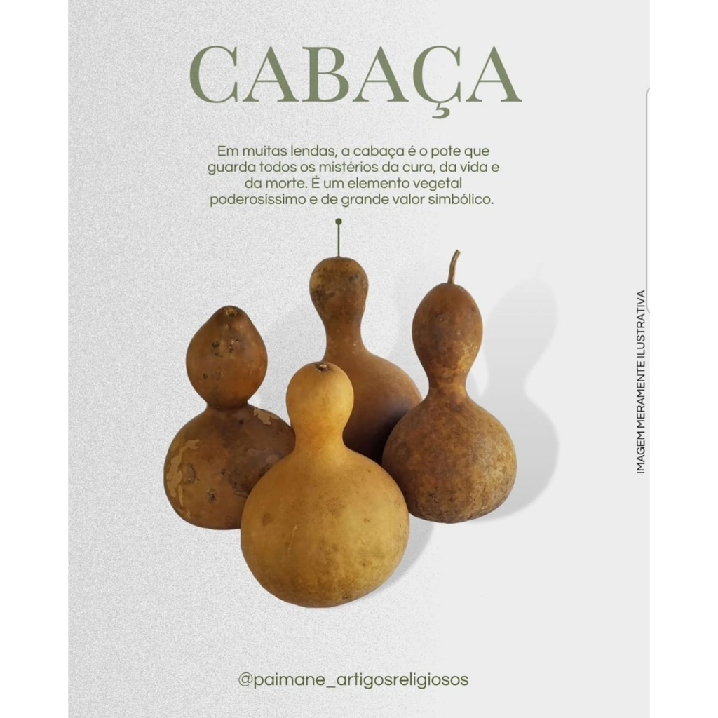 kit com 3 unidades - Cabaça simples.