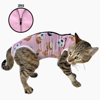 roupa para gato em Promoção na Shopee Brasil 2024